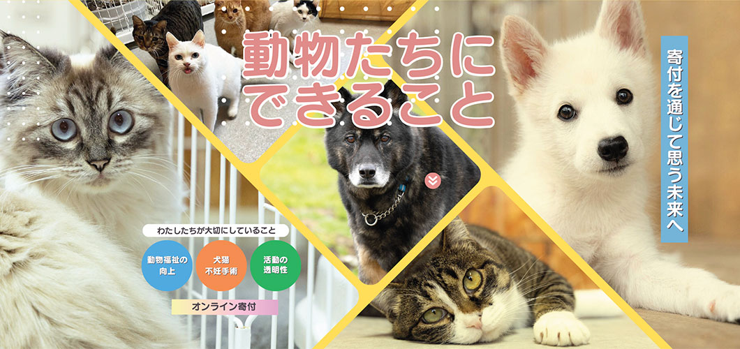 HPスライド寄付