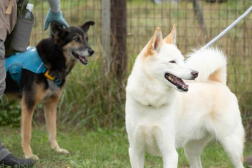 アポロンちゃん＆モックちゃん