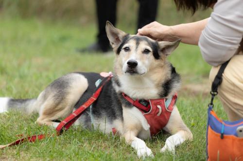 コタロウちゃん