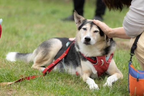 コタロウちゃん