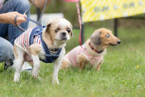 カプチーノちゃん＆スピカちゃん