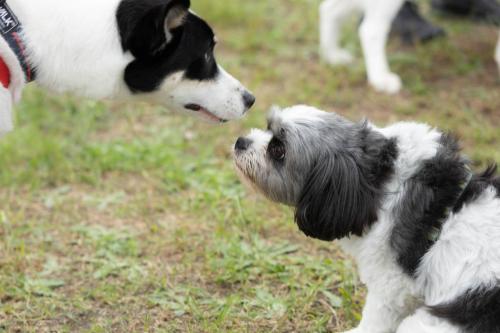 オトちゃん＆ライチちゃん