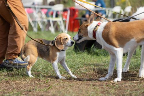 ナナちゃん＆ボノムちゃん