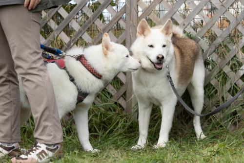 神威ちゃん＆マルコちゃん