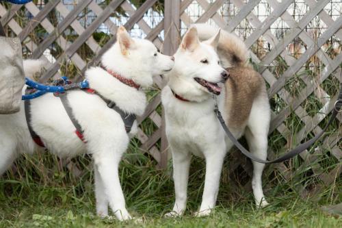 神威ちゃん＆マルコちゃん