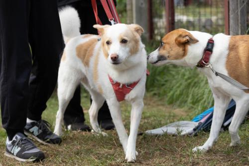 ラルちゃん＆ボノムちゃん