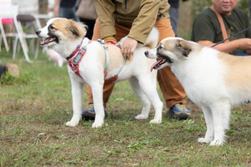 浜ちゃん＆むぎちゃん